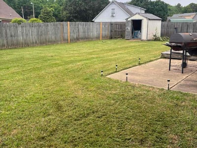 Lawn Care service in Stoughton, 02072