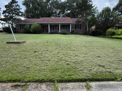 Lawn Care service in Cabot, 72023
