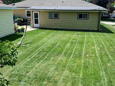 Lawn Care service in Menomonee Falls, 53051