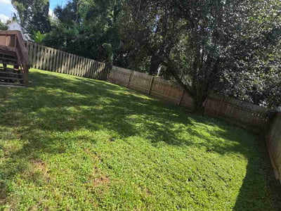 Lawn Care service in Spring Hill, 37174
