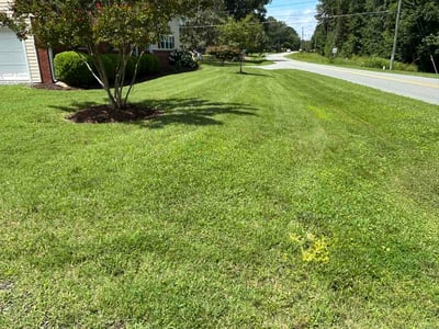 Lawn Care service in Graham, 27253