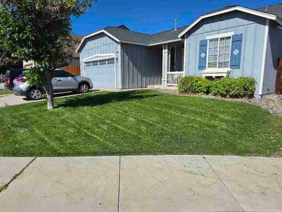 Lawn Care service in Reno, 89501