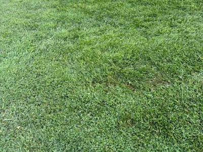 Lawn Care service in Union, 63084