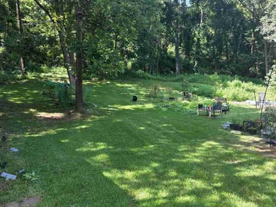 Lawn Care service in Leeds, 35094