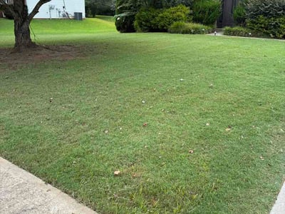 Lawn Care service in Joplin, 64801