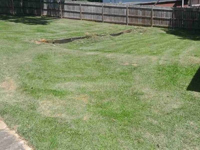 Lawn Care service in Leeds, 35094