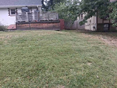 Lawn Care service in Paola, 66071