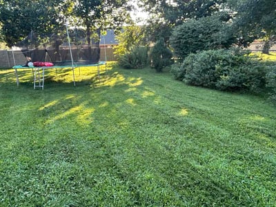 Lawn Care service in Clarksville, 47129