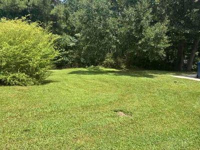 Lawn Care service in Irondale, 35210