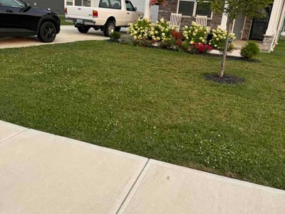 Lawn Care service in Collegeville, 19426