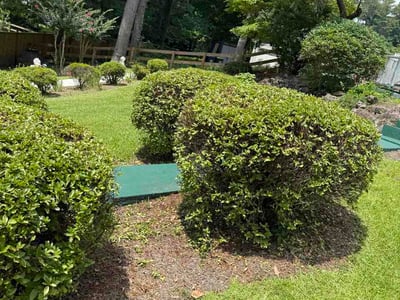 Lawn Care service in New Brunswick, 08901