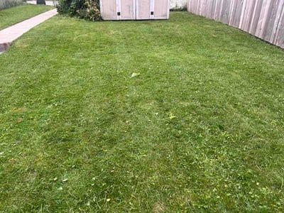 Lawn Care service in West Allis, 53214