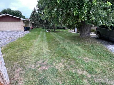 Lawn Care service in West Allis, 53214