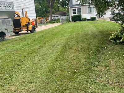 Lawn Care service in West Allis, 53214