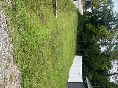Lawn Care service in Kingston, 37763