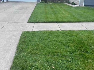 Lawn Care service in Aurora, 60506