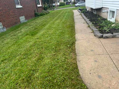 Lawn Care service in West Allis, 53214
