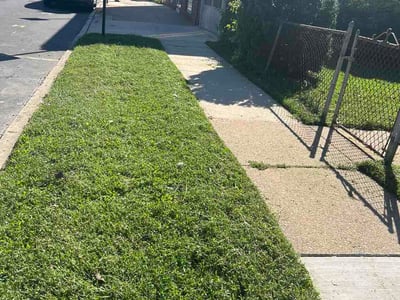 Lawn Care service in Edgewater, 21037