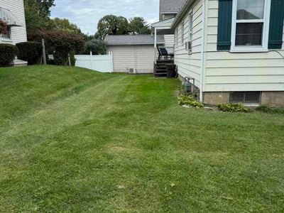Lawn Care service in Lehigh Valley, 18103