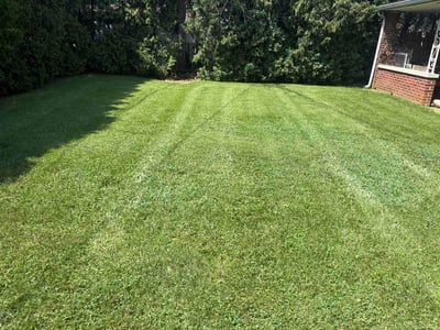 Lawn Care service in Lehigh Valley, 18103