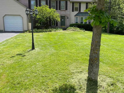 Lawn Care service in Algonquin, 60156