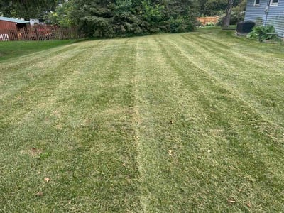 Lawn Care service in Grafton, 53024