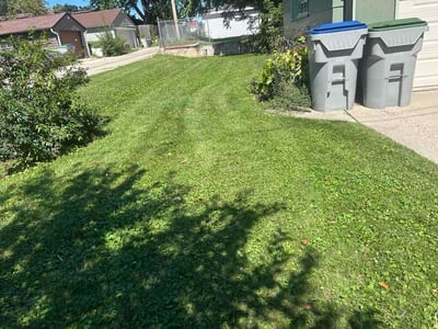 Lawn Care service in Grafton, 53024