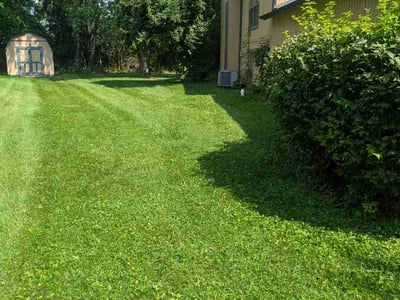 Lawn Care service in Corydon, 47112