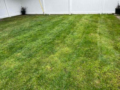 Lawn Care service in Shorewood, 53211