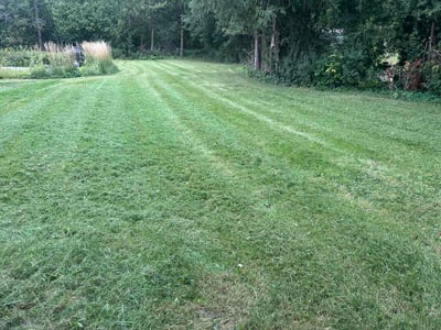 Lawn Care service in Shorewood, 53211