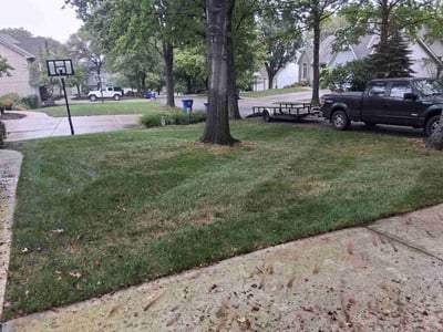 Lawn Care service in Mission, 66202