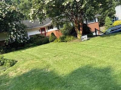 Lawn Care service in Joppa, 21085