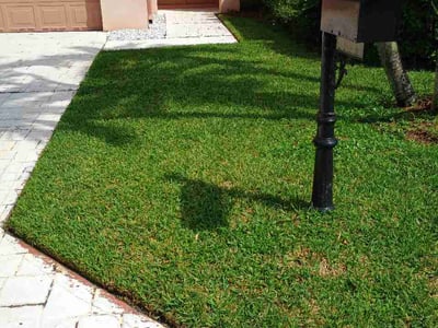 Lawn Care service in Riviera Beach, 33404
