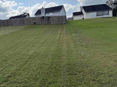Lawn Care service in Auburn, 30011