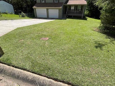 Lawn Care service in Ellenwood, 30294