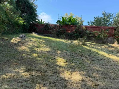 Lawn Care service in Conyers, 30012