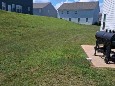 Lawn Care service in Locust Grove, 30248
