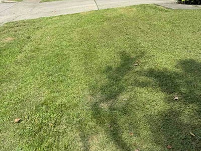 Lawn Care service in Hazel Green, 35750