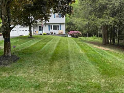 Lawn Care service in Ballston Spa, 12020