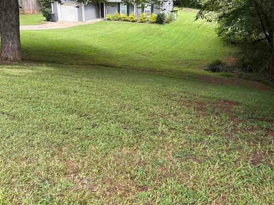 Lawn Care service in Monroe, 30655