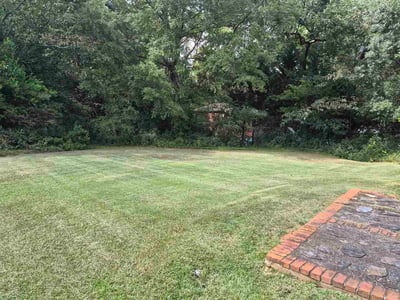 Lawn Care service in Monroe, 30655