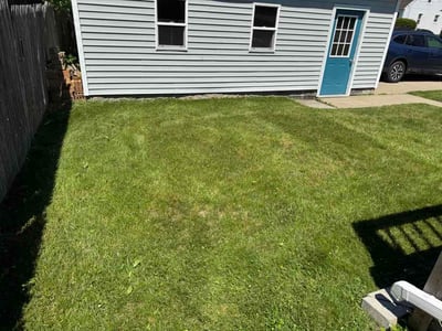 Lawn Care service in Ballston Spa, 12020