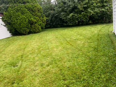Lawn Care service in Normal, 61761