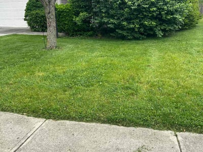 Lawn Care service in Redding, 96001