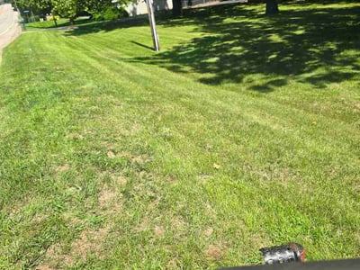 Lawn Care service in Normal, 61761