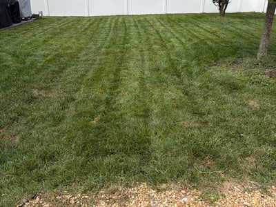 Lawn Care service in Mechanicsville, 23111
