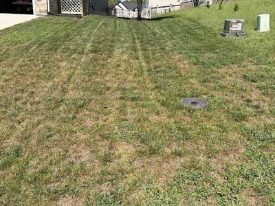 Lawn Care service in Mechanicsville, 23111