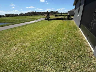 Lawn Care service in Lithia, 33547