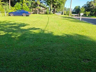 Lawn Care service in Pinson, 35126