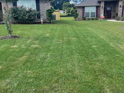 Lawn Care service in Pinson, 35126